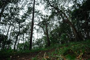 BIB: 
                            <button type="button" onclick="openModal(22538751)" class="btn btn-primary btn-sm float-right btn-popup" data-toggle="modal" data-target=".modal-high-quality">
                        <i class="fas fa-shopping-cart"></i> Add to Cart
                    </button>
                                            <button type="button" onclick="isThisMe(22538751, true)" class="btn btn-success btn-sm float-right btn-popup btn-isme hidden" data-toggle="tooltip" data-placement="bottom" title="นี่คือรูปของคุณใช่ไหม คลิกที่นี่เพื่อเอาเข้าอัลบั้ม">
                        <i class="fas fa-plus"></i> Add to album
                    </button>
                    <button type="button" onclick="isThisMe(22538751, false)" class="btn btn-warning btn-sm float-right btn-popup btn-isnotme hidden">
                        <i class="fas fa-ban"></i> Remove from album
                    </button>